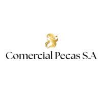 COMERCIAL PECAS